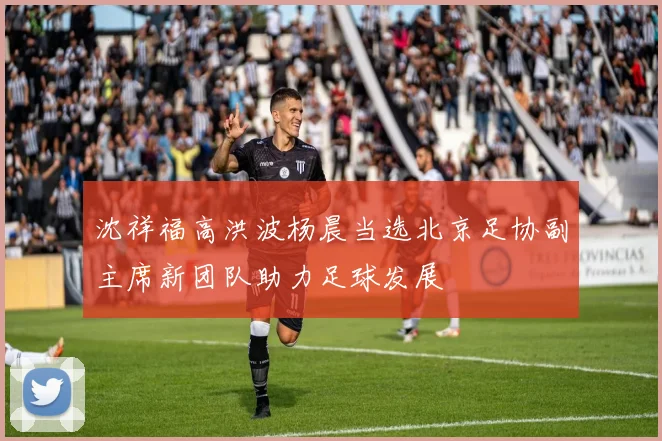 沈祥福高洪波杨晨当选北京足协副主席新团队助力足球发展