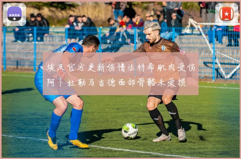 埃及官方更新伤情法特希肌肉受伤阿卜杜勒马吉德面部骨骼未受损